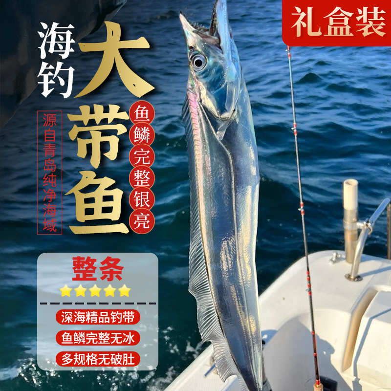 带鱼礼盒装特大号海钓