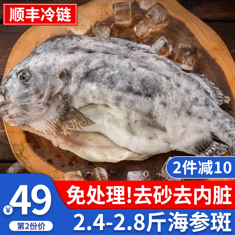 冰岛进口去砂去内脏免处理海参斑