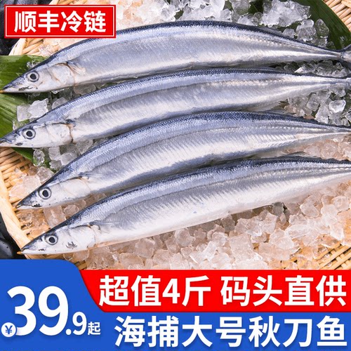 秋刀鱼特大青花鱼朵芙