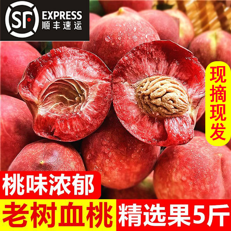 正宗血桃当季新鲜桃子水果现摘红心桃毛桃脆甜桃5斤非水蜜桃