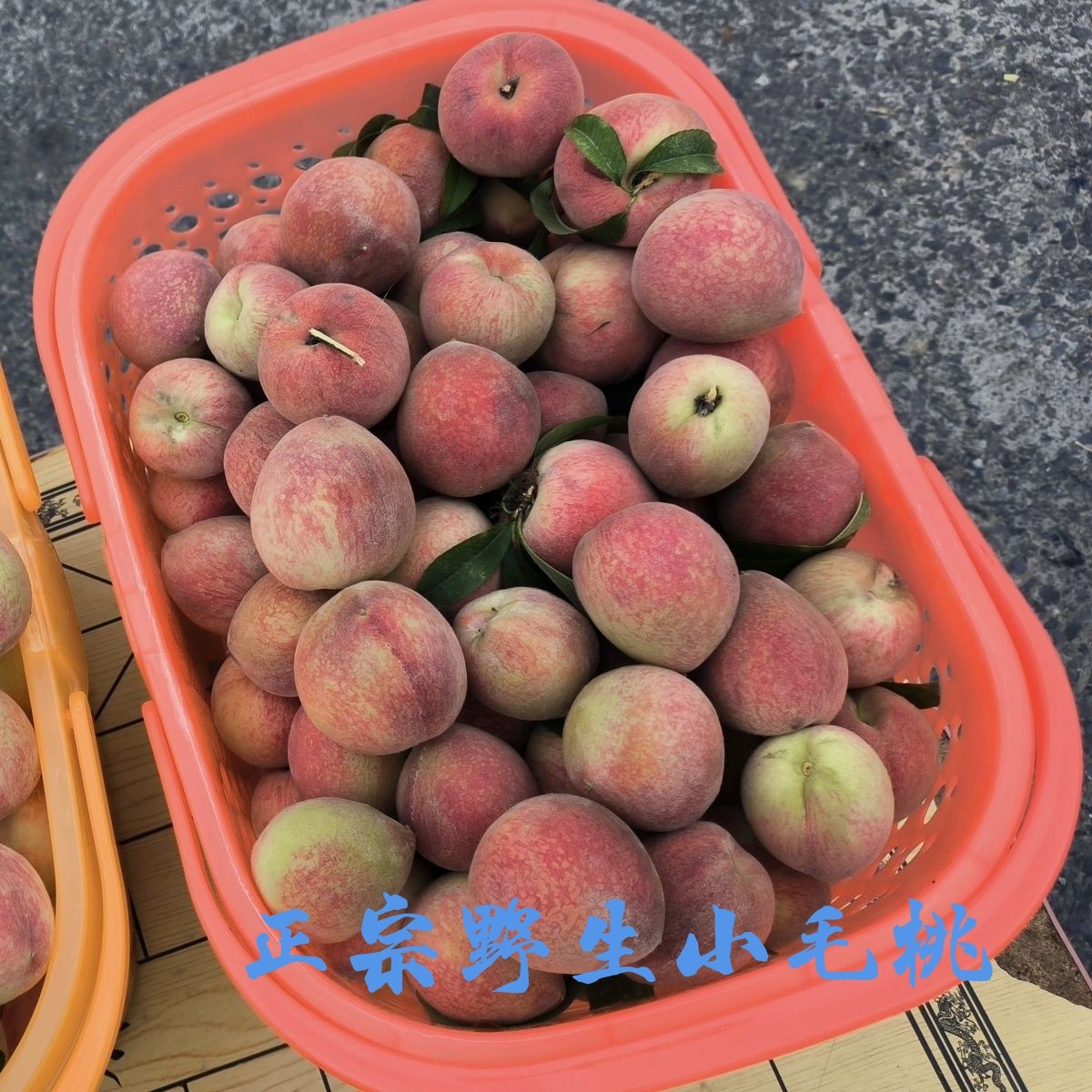 【顺丰】无农药无添加高山野生小毛桃自然生长正宗脆桃甜桃