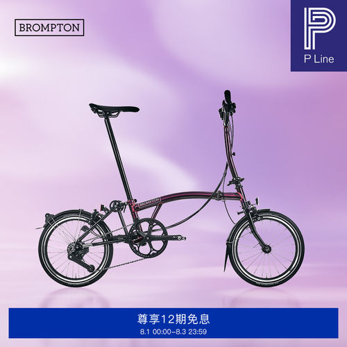 小布折叠自行车12速流光紫清漆