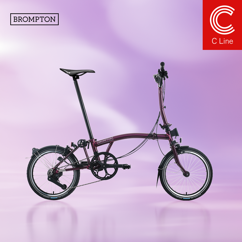 小布折叠自行车12速流光紫清漆
