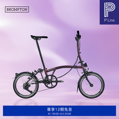 小布折叠自行车4速流光紫清漆