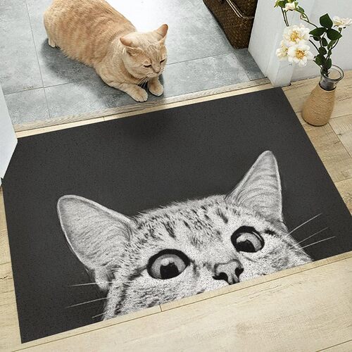可爱猫咪玄关防滑蹭土地垫