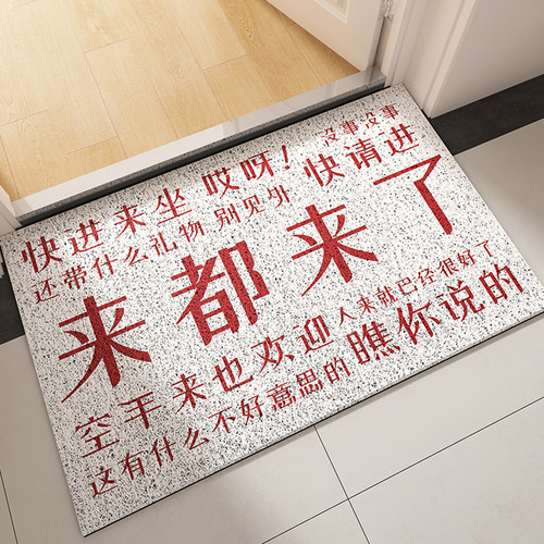 丝圈玄关入户地垫防尘耐磨免洗