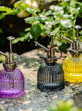 家用小型喷水壶高颜值玻璃浇花