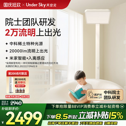 Undersky天空见C2台灯落地护眼灯