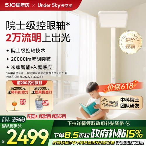 Undersky天空见C2台灯落地护眼灯