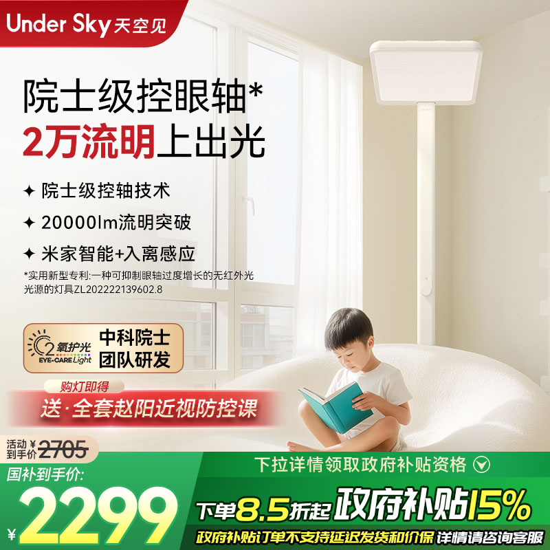 Undersky天空见C2台灯落地护眼灯