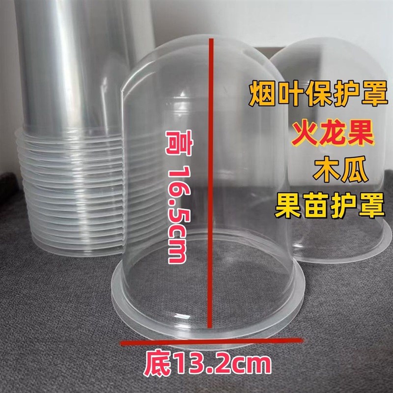 热销烤烟辣椒火龙果移栽罩杯高y透明防寒霜冻保温防虫鸟育苗保护