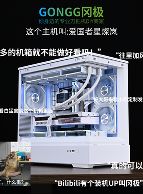 爱国者 星燦岚 i5/14600kf电脑台式水冷游戏MATX海景房整机4070S