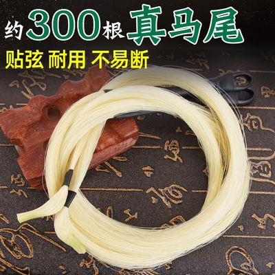 专业替换备用内蒙古80cm白马尾