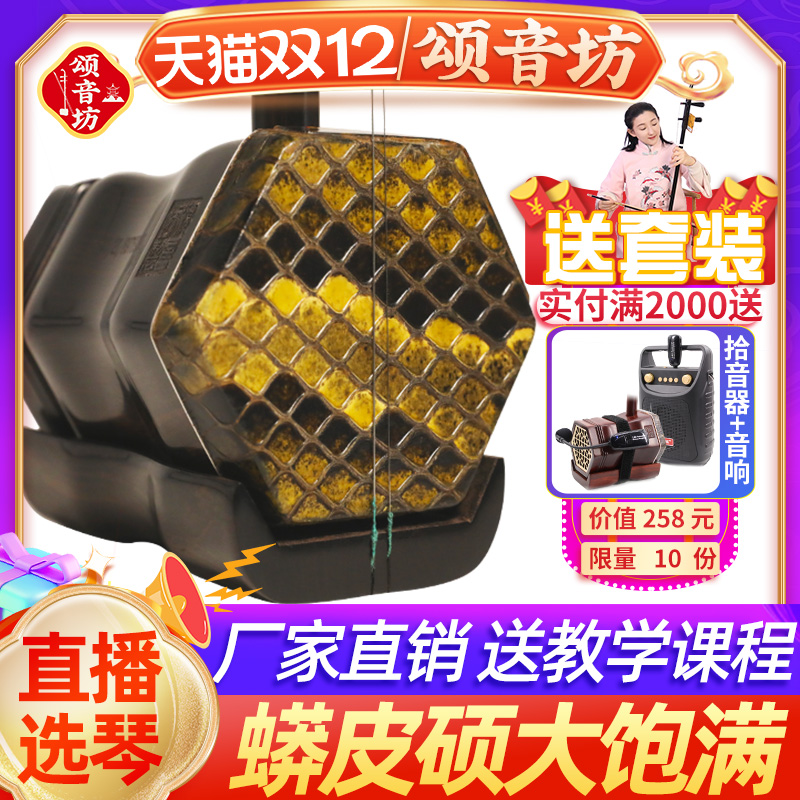 颂音坊黑檀二胡名牌乐器厂家直销演奏专业龙头大音量高级胡琴苏州