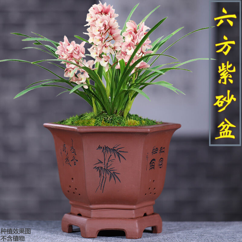 爵遇良品紫砂花盆六方形兰花盆大口径月季花盆带底座君子兰盆手工