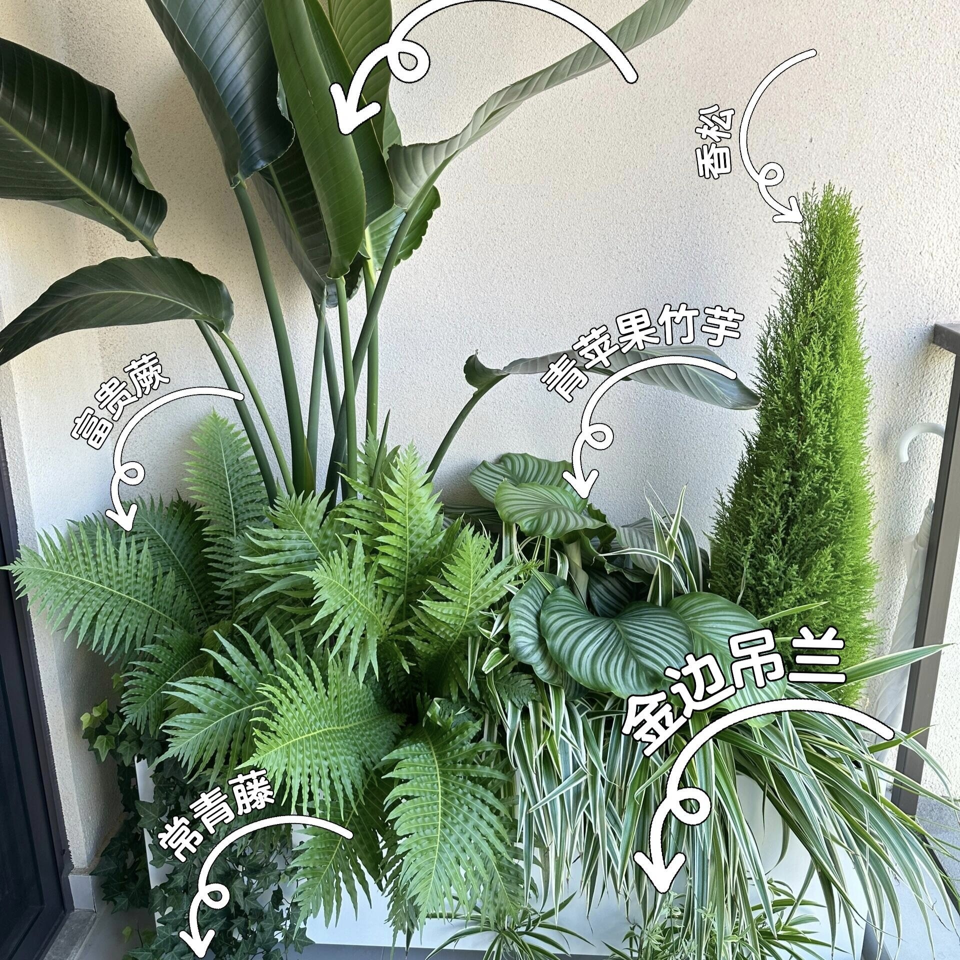 四代住宅空中花园大型绿植组合花箱落地景观阳台庭院展会造景