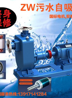 65ZW25-50铸铁/不锈钢/化工厂/染料厂造纸厂管路排污水增压自吸泵