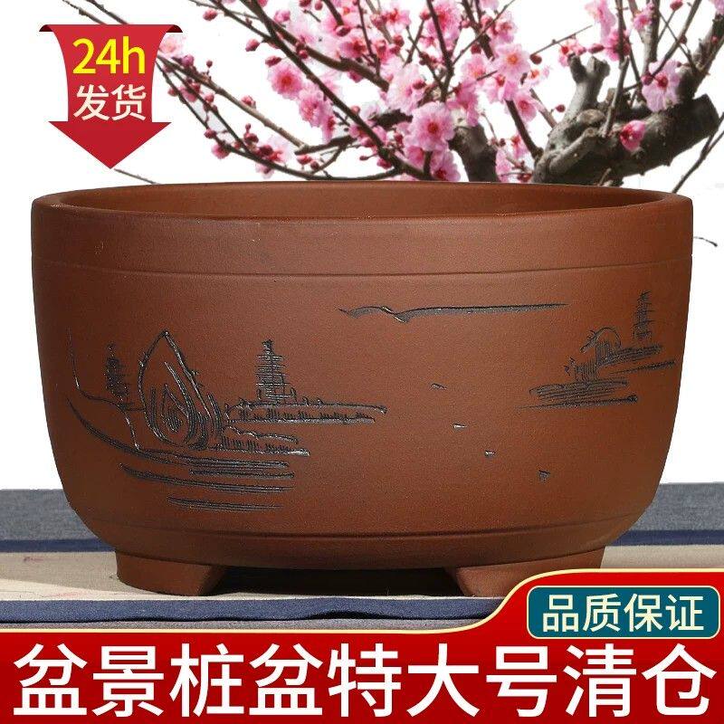 宜兴紫砂花盆 多肉专用红梅老桩造型盆景碗盆 中国风陶瓷花器