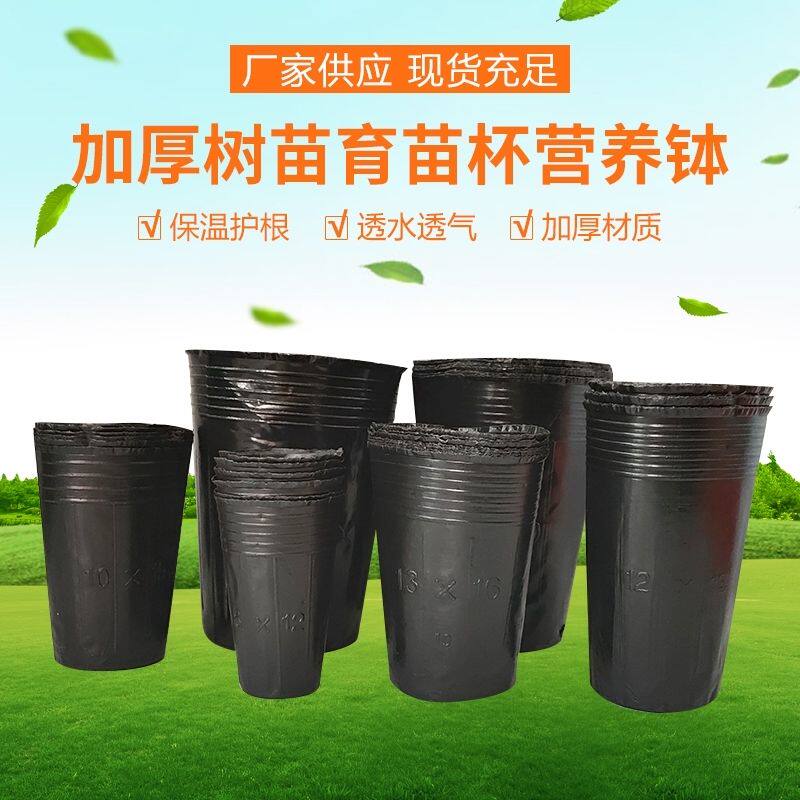 营养钵营养杯育苗杯一次性黑色塑料杯营养碗育苗碗黑碗袋