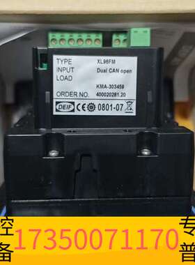 华泰舵角指示表XL96FM  0-40mir，原厂件2台议价