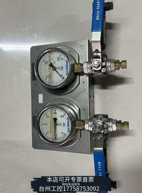 华泰BDSENS DMP457压力表模块，量程0-16bar，4议价