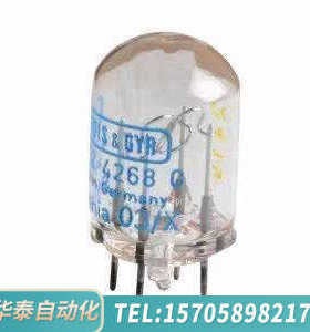 华泰火焰控制器电眼AGR450242680
