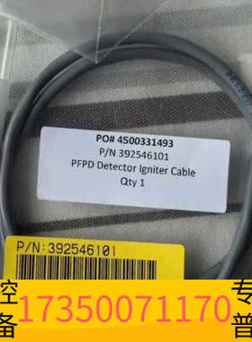 华泰布鲁克PFPD点火线圈