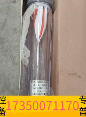 华泰NTZDF-9SFIB-3529H塑料转子流量计