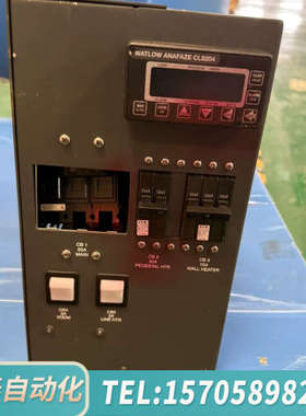 华泰Watlow ANAFAZE CLS204温控器，进
