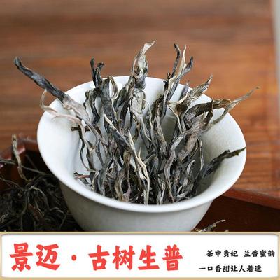 景迈山古树生普2024兰香蜜韵头春古树茶散茶景迈普洱茶生茶