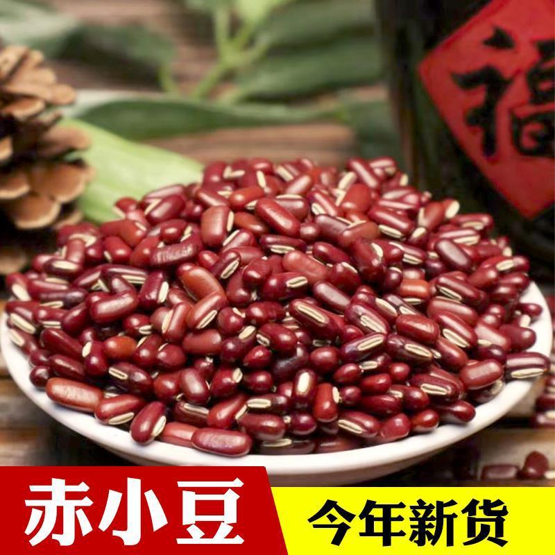 现货供应赤小豆非红豆农家自产长粒赤小豆 五谷杂粮粗粮 袋装25kg
