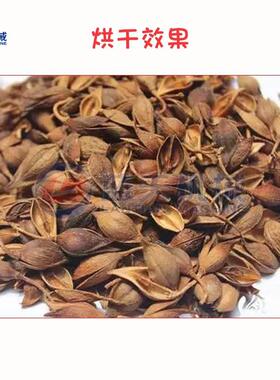 连烘干机翘 加热小型黄花杆黄丹烘电干箱LT-LQJ 青翘烘干机设寿备