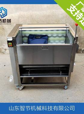 型大果清蔬洗去皮机IBE红薯萝卜清洗去皮机毛刷 毛辊土豆地瓜脱皮