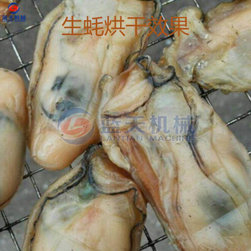 空气能牡蛎海干蛎子烘机 热型风循环烘鲜生蚝干机 大LT-MLJ蛎蛤烘