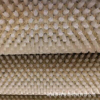 不泥锈钢毛辊清洗机EIT 商设用土豆萝卜去皮中清洗机 药材去清洗