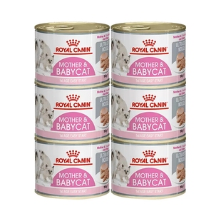 皇家幼猫奶糕罐头离乳期全价配方主食罐猫湿粮小奶猫幼猫1 4月龄