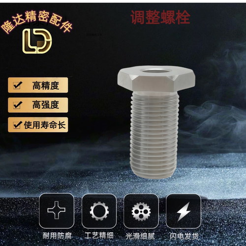 PAX11 41 LVBS LVFBS8 1016 20 24 30-5 100 不锈钢细牙调整螺栓