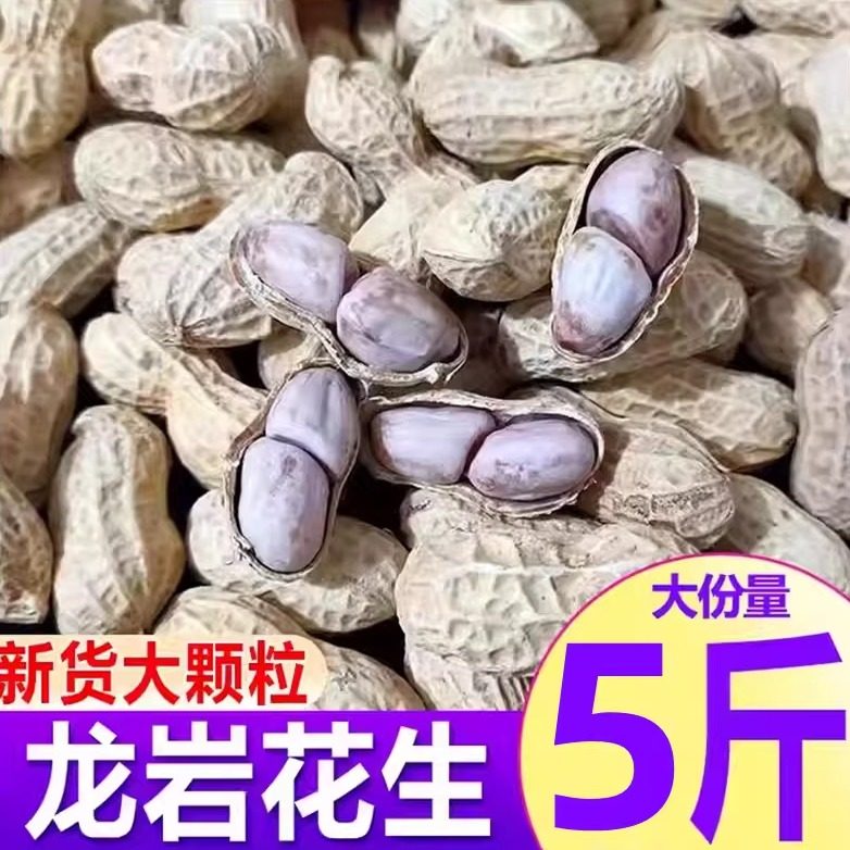 正宗福建龙岩花生带壳湿烤紫衣咸酥蒜香水煮白晒干原味熟花生零食