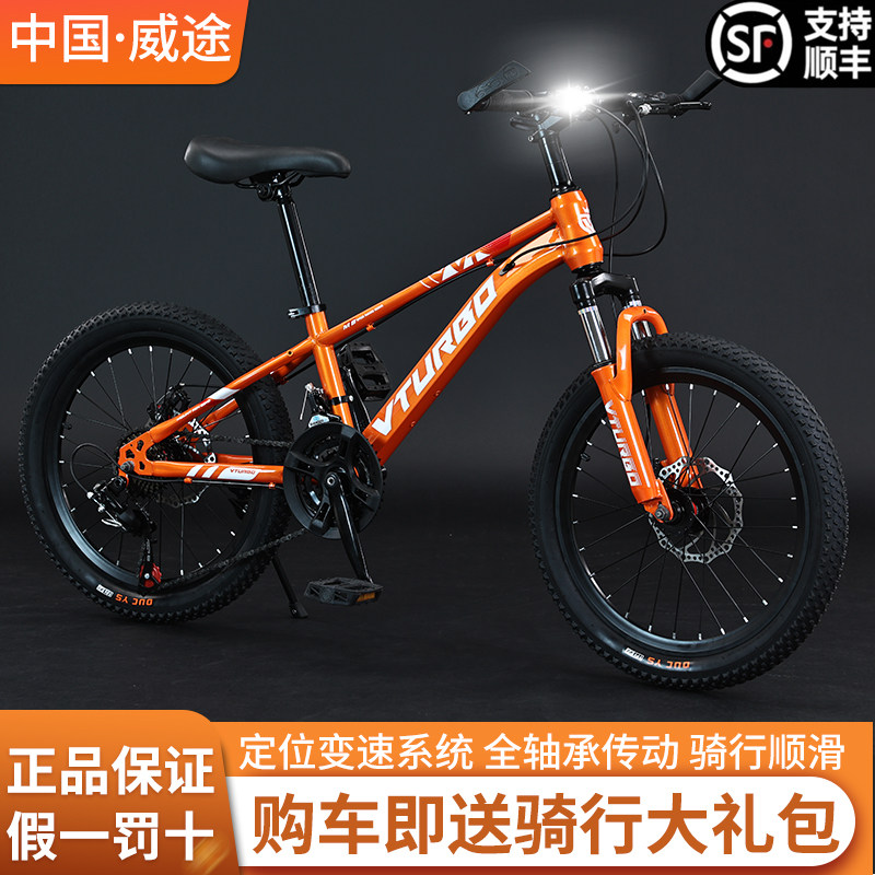 山地车定位变速培林花鼓中轴碟刹