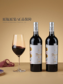 礼节拜访 法国原瓶进口橡木塞干红15度750ML 整箱6瓶礼盒装 葡萄酒