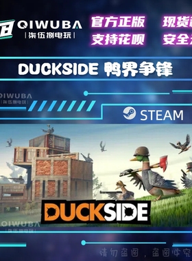 PCsteam正版国区游戏 DUCKSIDE 鸭界争锋 国区/全球区激活码CDK