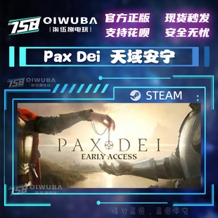 Dei Pax 天域安宁 国区激活码 CDKEY PCsteam正版 CDK 国区沙盒
