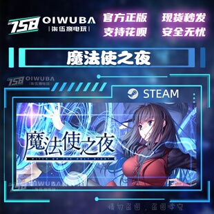 国区视觉小说冒险 PC中文steam正版 魔法使之夜 好友礼物现货秒发