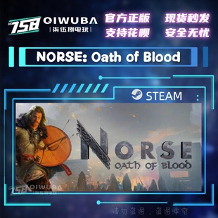 PC中文steam正版游戏 NORSE: Oath of Blood 国区激活码CDK CDKEY