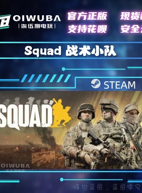 PC中文steam正版游戏 Squad 战术小队 国区激活码CDK CDKEY