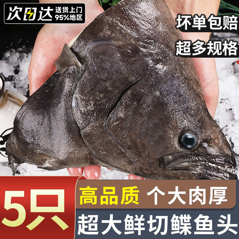 超大鲽鱼头深海特大蝶鱼头新鲜冷冻鸦片鱼头商用雅片鱼头海鱼顺丰 - 实物图