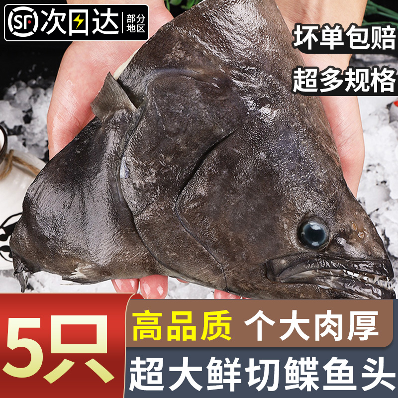 超大鲽鱼头深海特大蝶鱼头新鲜冷冻鸦片鱼头商用雅片鱼头海鱼顺丰