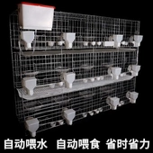 鸽子笼子家用养殖鸽子笼鸽子龙大号全套鸽舍鸽棚大型鸽子笼网配对