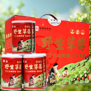 岷县野草莓罐头甘肃特产小吃定西陇南的家乡瓢子当地有岷县点心