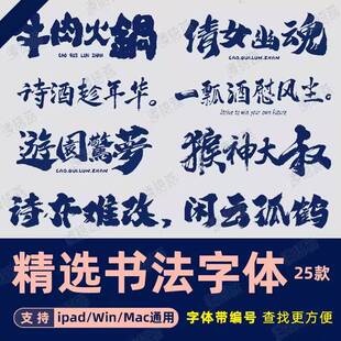 procreate古风书法中文字体包fcpx/pr/PS/word/wps/PPT毛笔字体